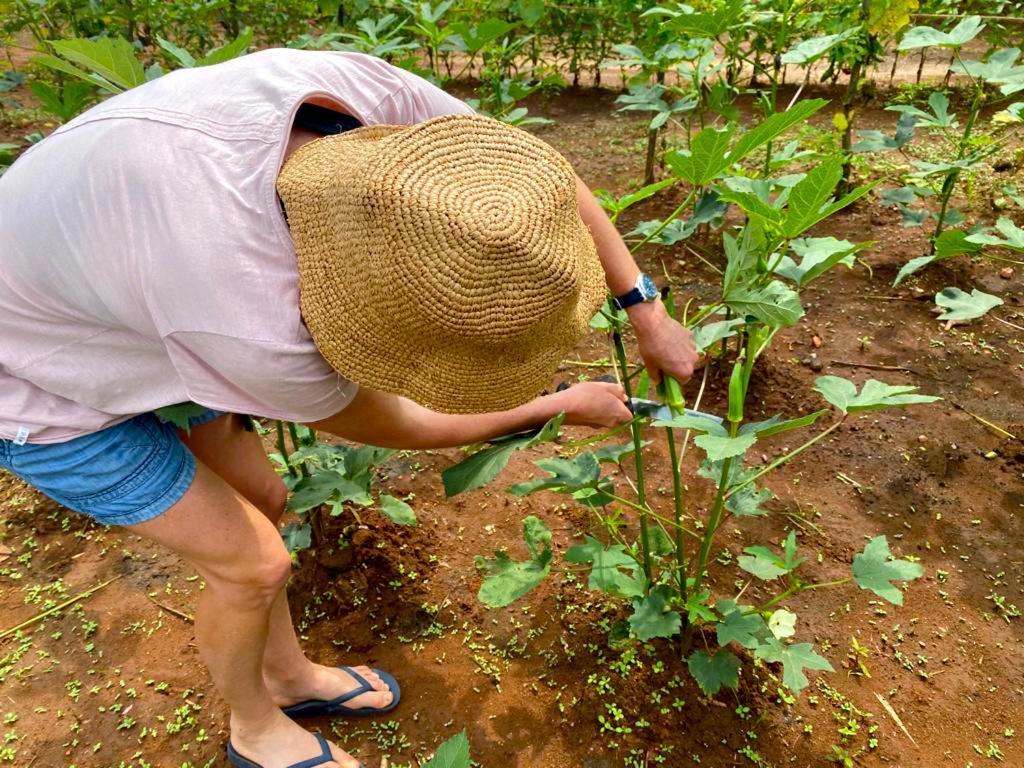 Moni Farm House Wilpattu Nochchiyagama エクステリア 写真