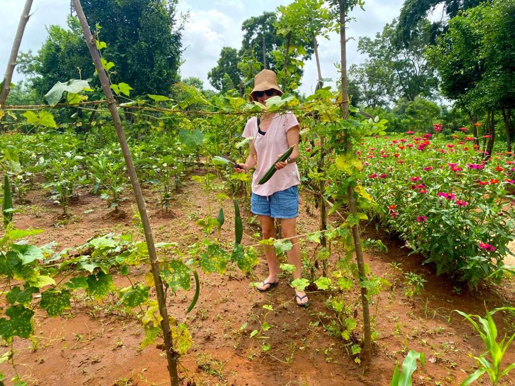 Moni Farm House Wilpattu Nochchiyagama エクステリア 写真