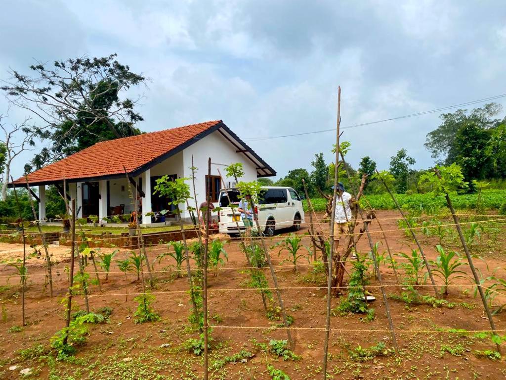 Moni Farm House Wilpattu Nochchiyagama エクステリア 写真
