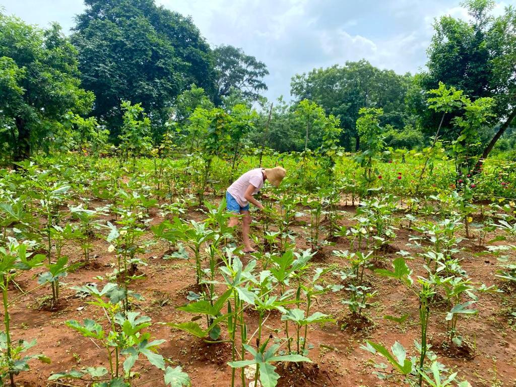 Moni Farm House Wilpattu Nochchiyagama エクステリア 写真