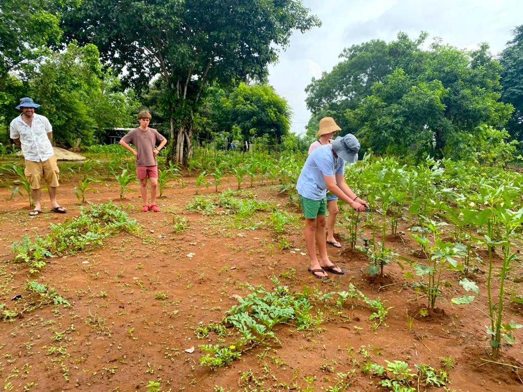 Moni Farm House Wilpattu Nochchiyagama エクステリア 写真