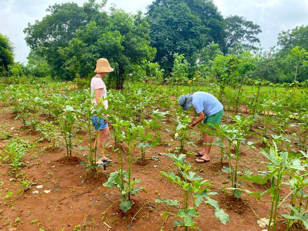 Moni Farm House Wilpattu Nochchiyagama エクステリア 写真