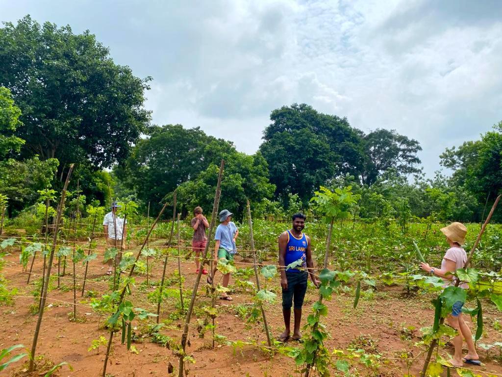 Moni Farm House Wilpattu Nochchiyagama エクステリア 写真