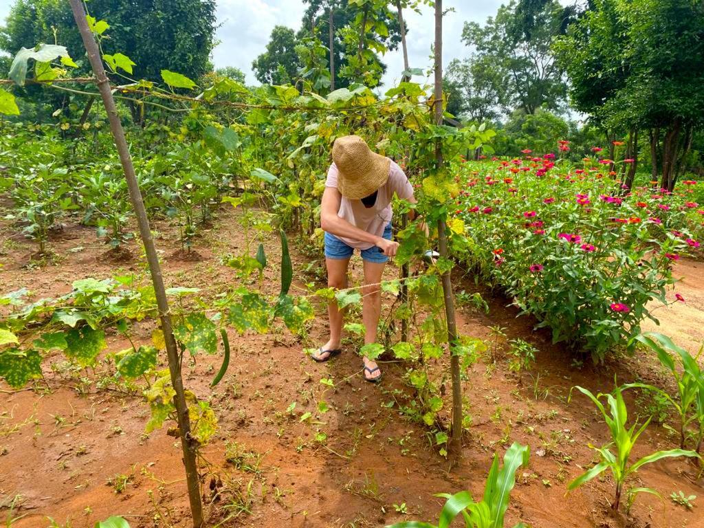 Moni Farm House Wilpattu Nochchiyagama エクステリア 写真