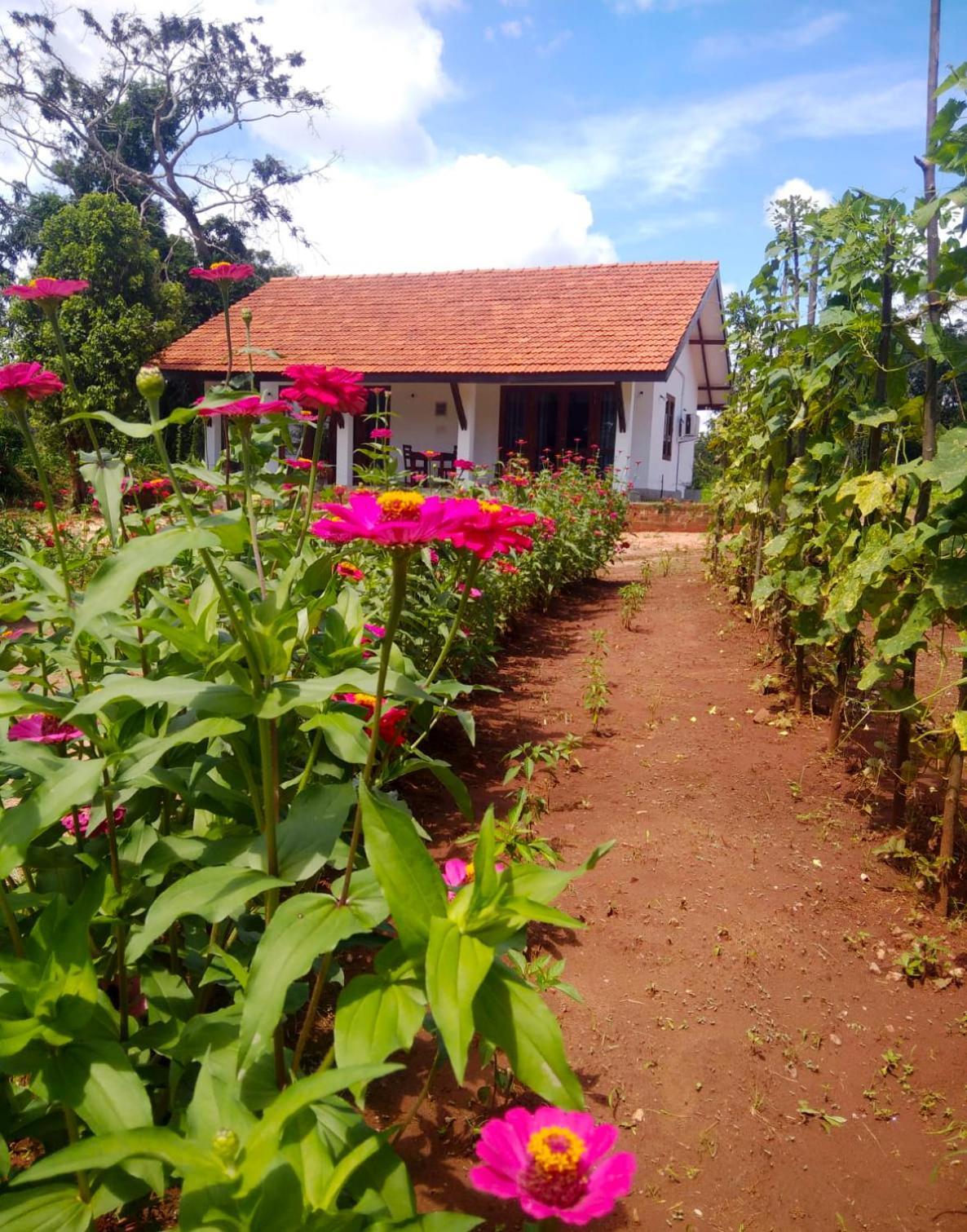 Moni Farm House Wilpattu Nochchiyagama エクステリア 写真