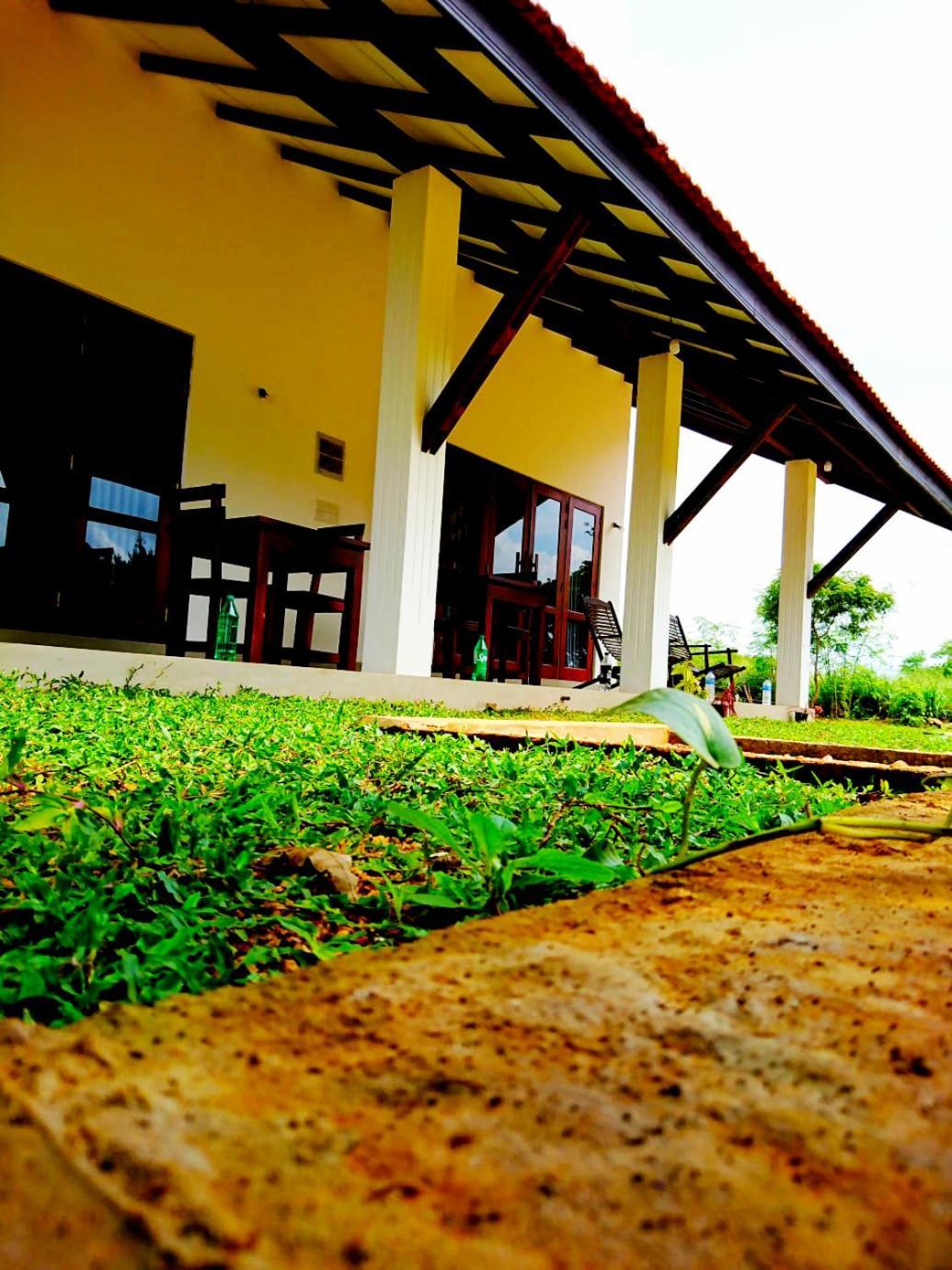 Moni Farm House Wilpattu Nochchiyagama エクステリア 写真