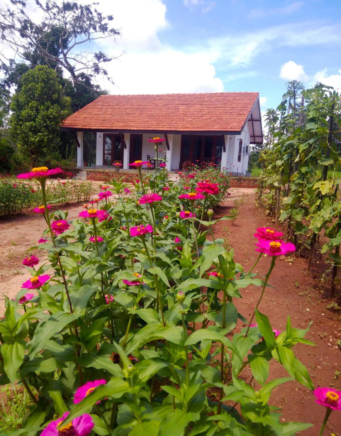 Moni Farm House Wilpattu Nochchiyagama エクステリア 写真