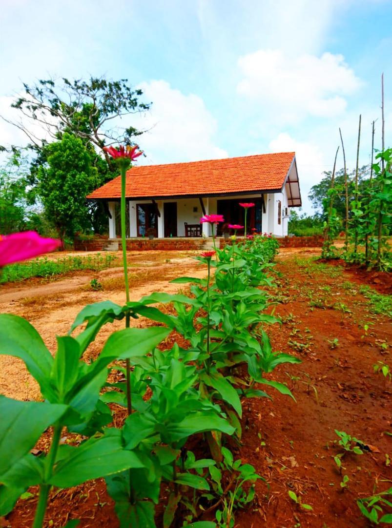 Moni Farm House Wilpattu Nochchiyagama エクステリア 写真