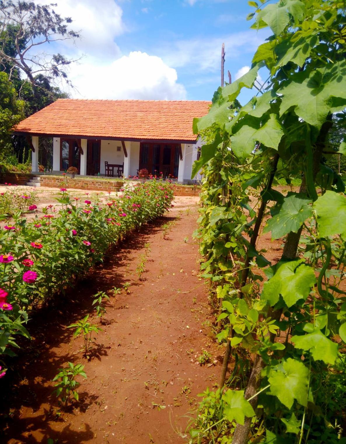 Moni Farm House Wilpattu Nochchiyagama エクステリア 写真