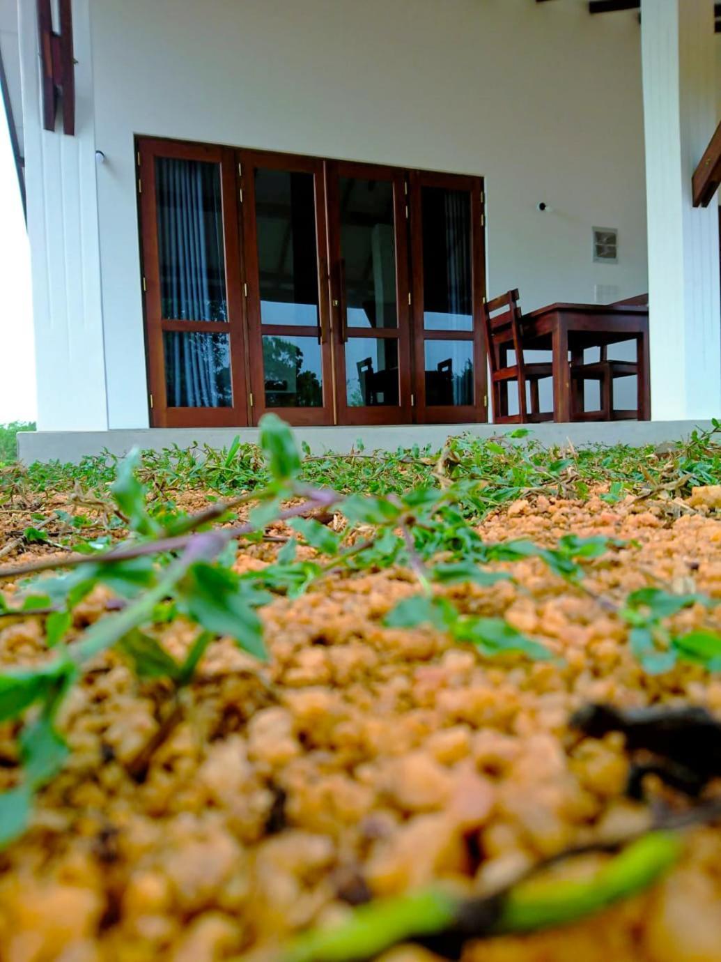 Moni Farm House Wilpattu Nochchiyagama エクステリア 写真